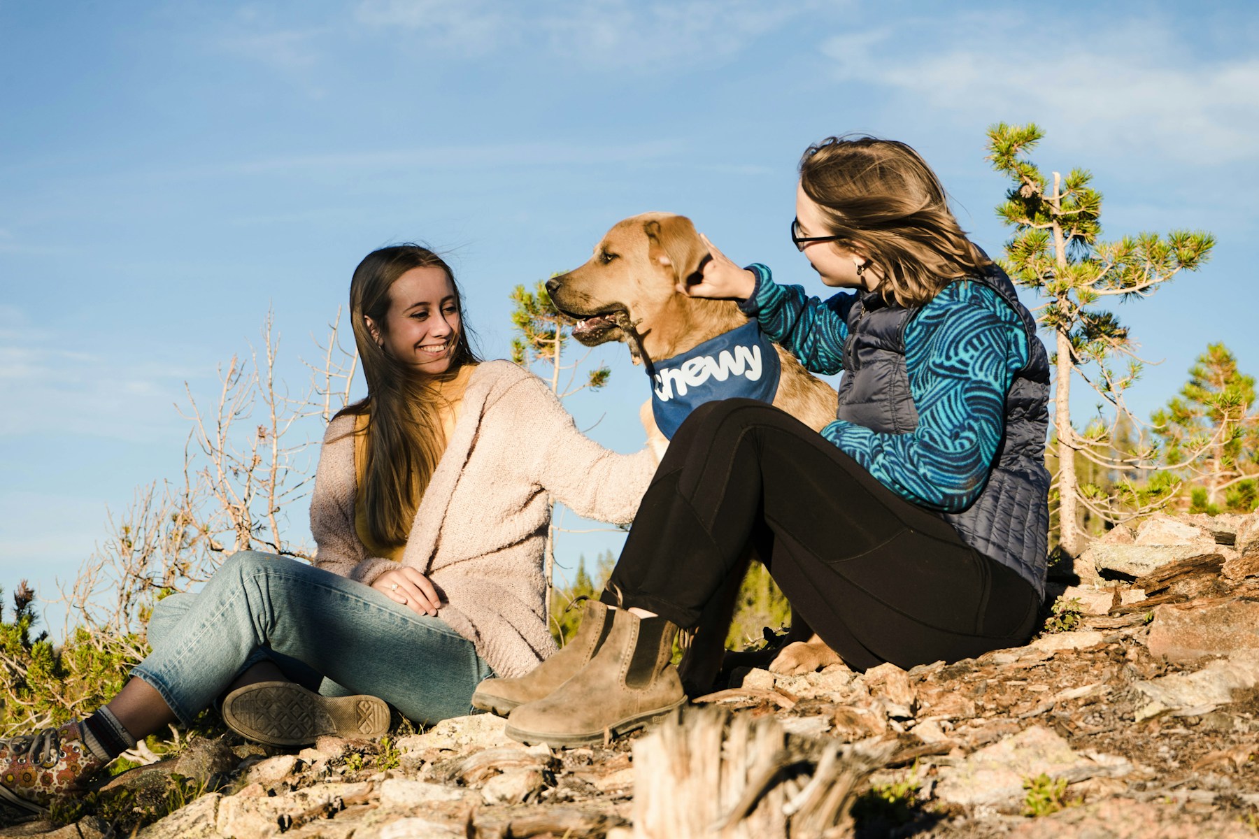 Dog owners talking together in a calm public place