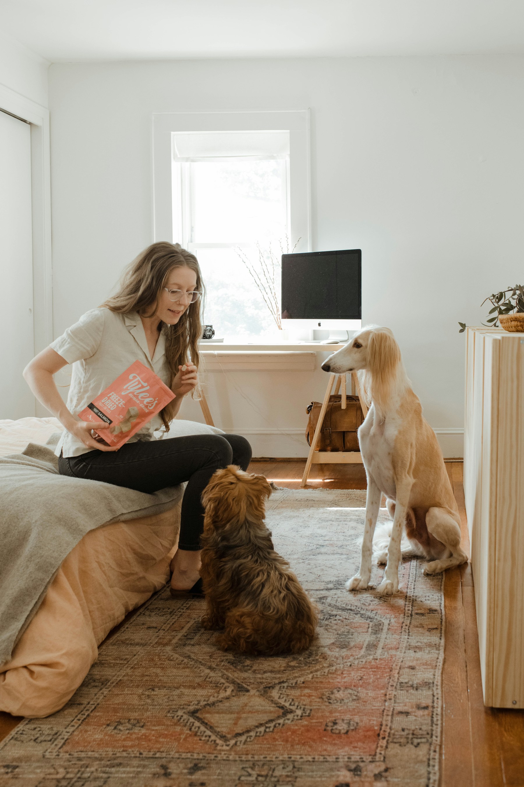 A dog owner at home with two dogs