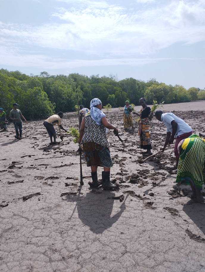 Friends of Usambara community members planting trees