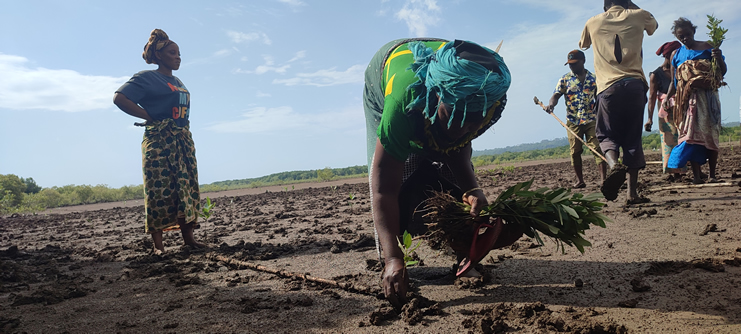 Community planting work supported by Friends of Usambara